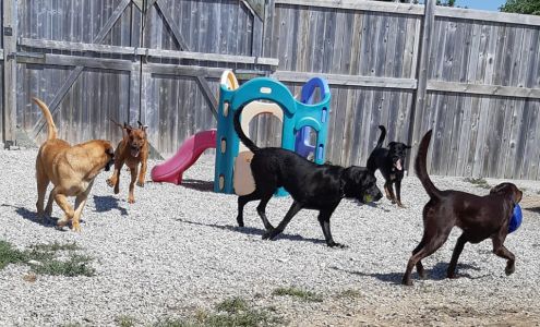 Woof! Pet Resort 684459 Oxford 2, Woodstock Ontario N4S 7V7