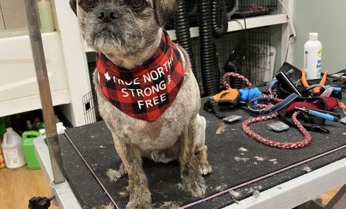 Naturapets Grooming 20 Jubilee Pl, Woodstock Ontario N4S 7H2