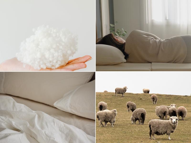 Obasan (Formerly Sleeptek)