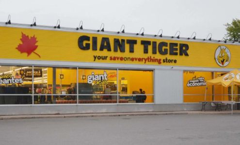 Giant Tiger Rockland