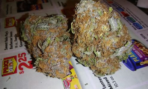 新顺发 Sacramento