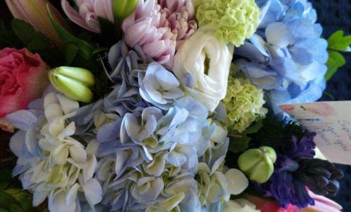 Balloons, Bears & Bouquets