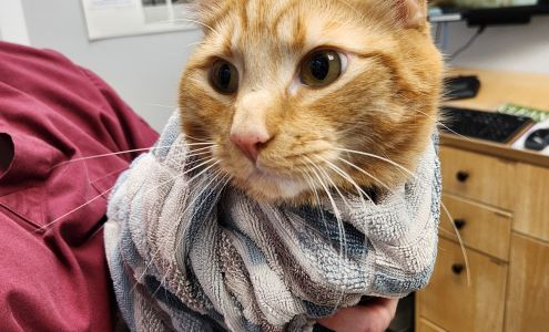 Martensville Veterinary Hospital 2 4 St S, Martensville Saskatchewan S0K 2T0