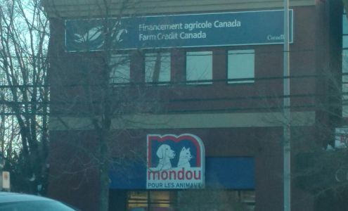 Mondou Saint-Hyacinthe