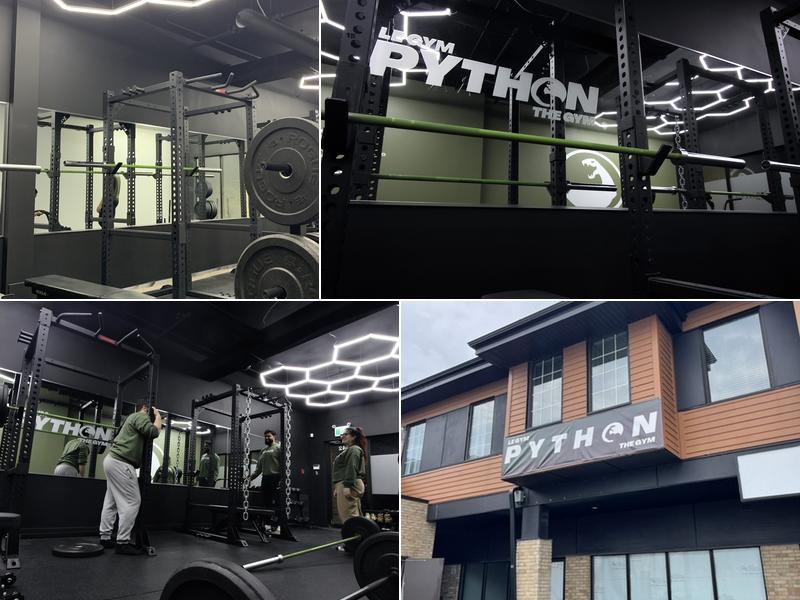 Python The Gym