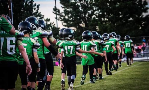 Holly Pond High School Holly Pond