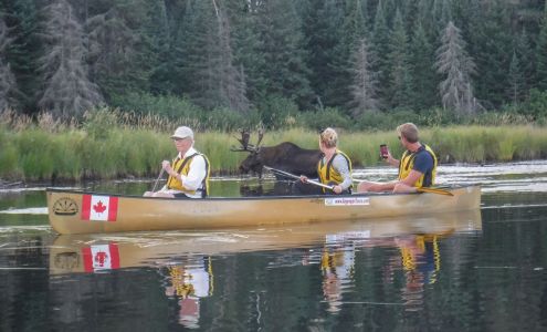 Algonquin Park Adventure Tours Dwight
