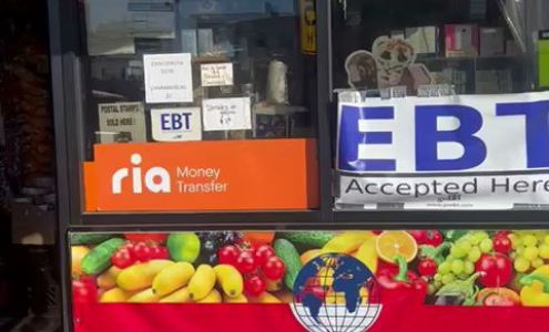 International Market Multiservice