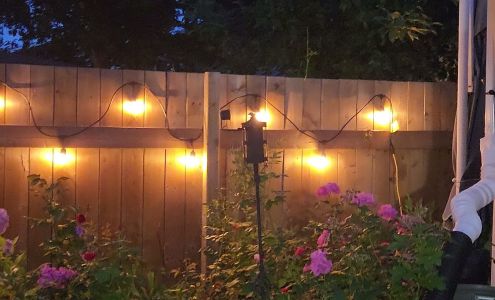 Alicats Photography Digital Images Studio