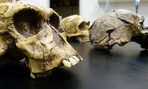 Core Academy of Science