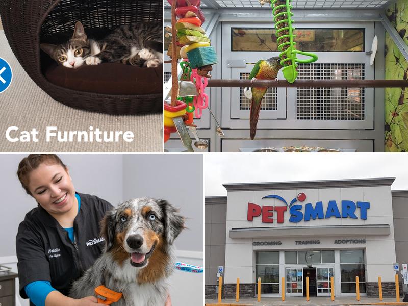 PetSmart