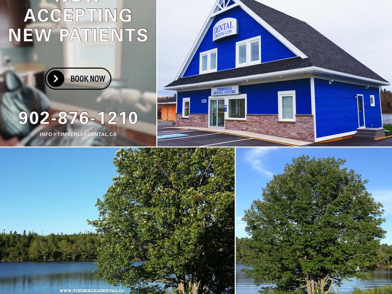 Timberlea Dental Centre