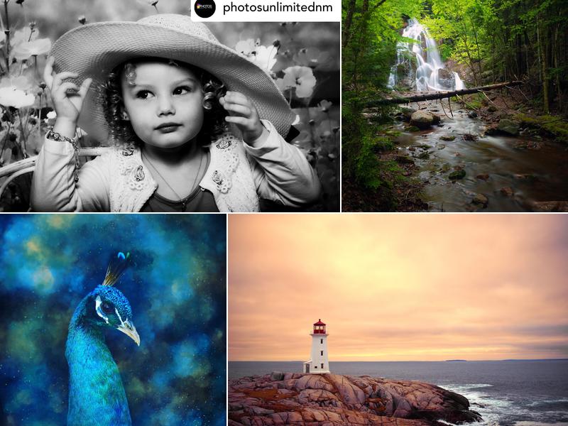 Leigh MacArthur Photography