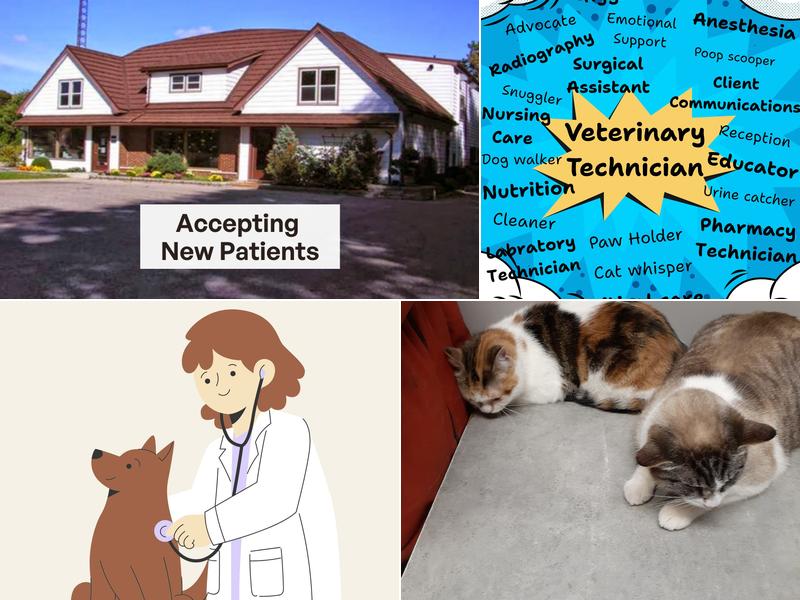 Aylmer Veterinary Clinic