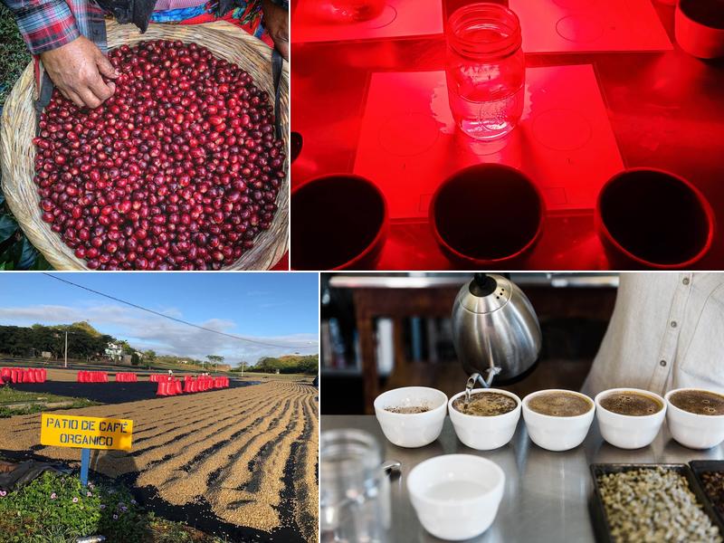 Balzac Brothers & Company