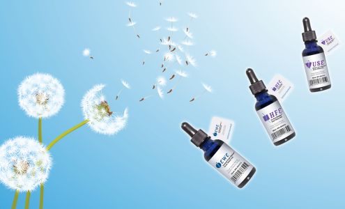 The Eliminators 184 Caithness St W, Caledonia Ontario N3W 1B2