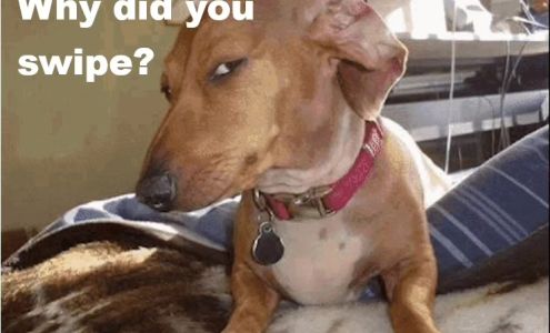 Vivian D. McCormick, DDS