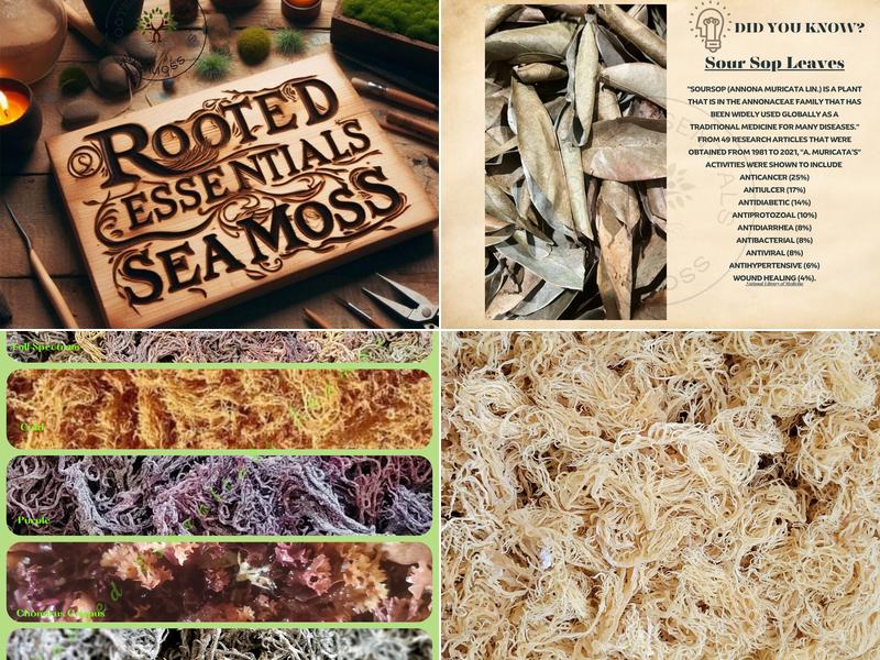 Rooted Essentials SeaMoss