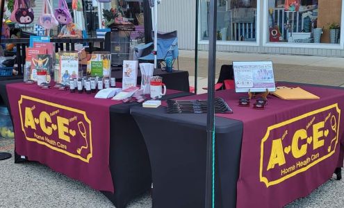 ACE Home Health Care Services Inc 120 Hemlock St, Howard City Michigan 49329