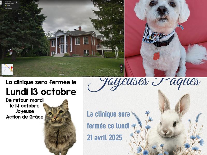 Clinique Vétérinaire Bellechasse-Etchemins