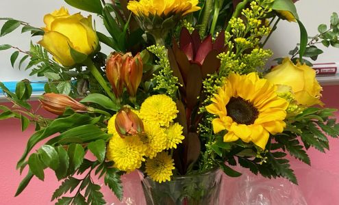 Stems of Joy 222 6th St, Hawley Minnesota 56549