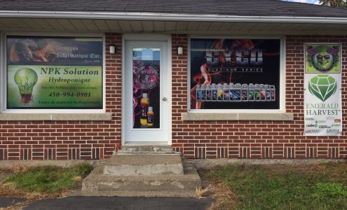 Draggon Informatique