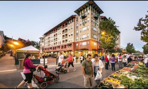 Rafael Town Center Apartments