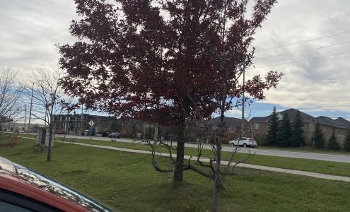 Brampton East Medical Centre