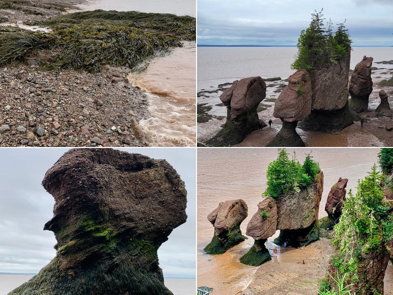 Low Tide Canteen Rocks Rd, Hopewell Cape