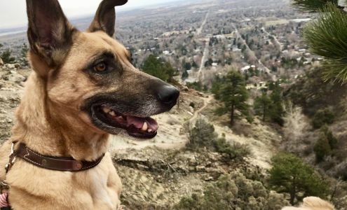 Boulder Canyon Dental