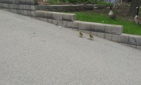 Neighbour to Neighbour Centre