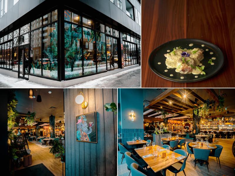 India Rosa Griffintown