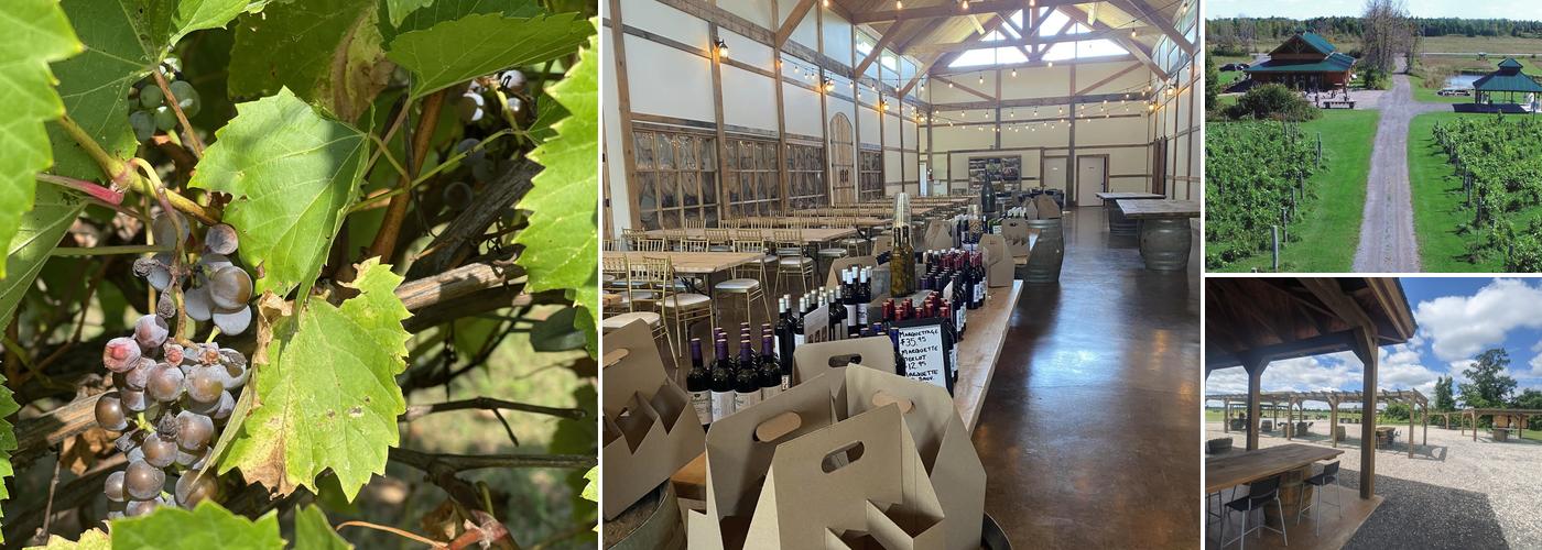 Jabulani Vineyard and Winery