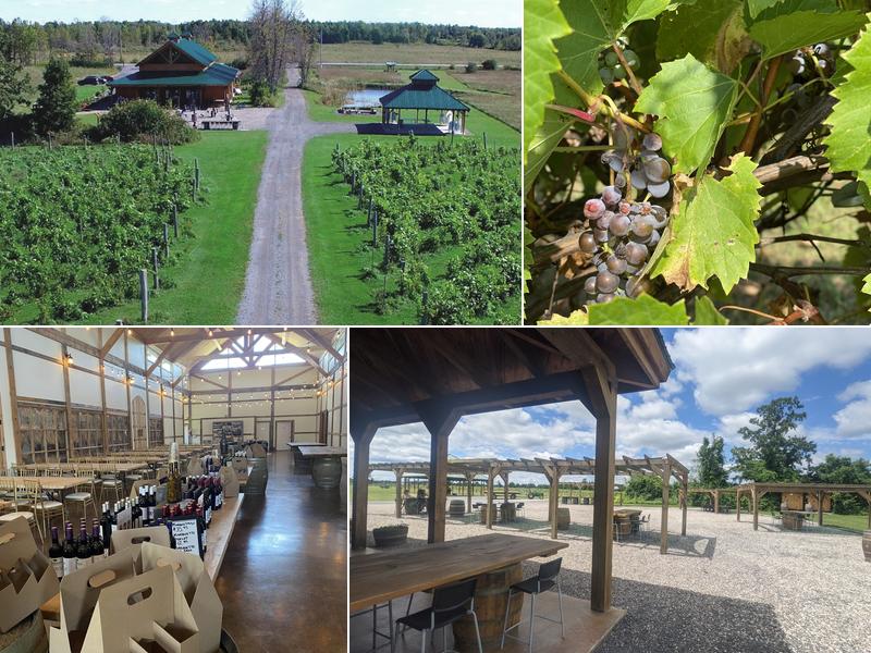 Jabulani Vineyard and Winery