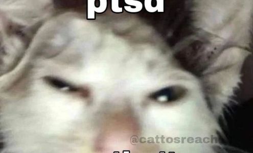 St. Stephen High School St Stephen