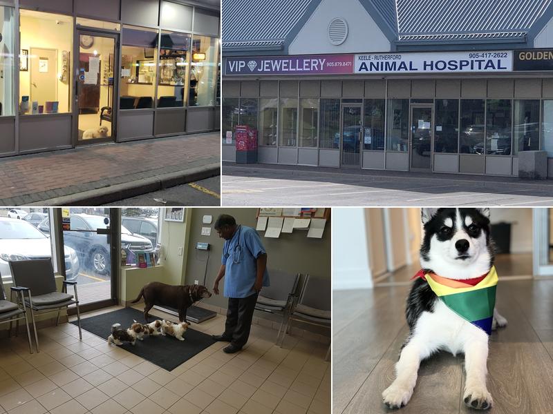 Keele Rutherford Animal Hospital