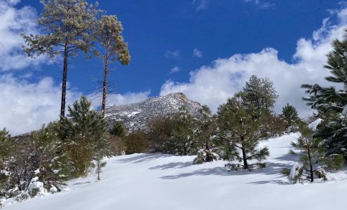 Cuyamaca Rancho State Park Julian
