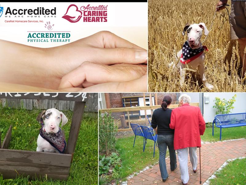 Accredited - We Are Home Care