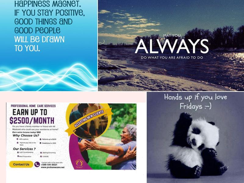 Professional Home Care Services LLC.