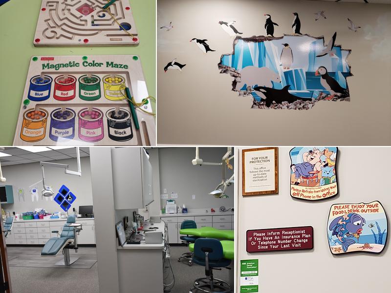 Molar Bear Pediatric Dentistry - Houston