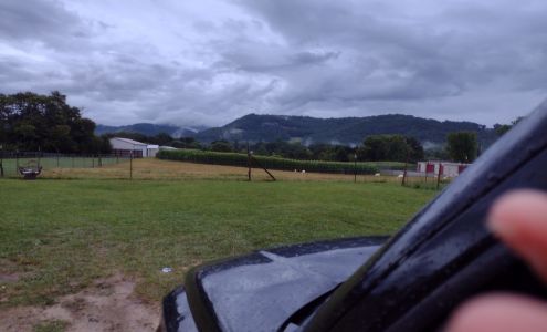 A1 Insurance Coverage