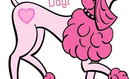 FirstLight Home Care of Jacksonville North Carolina