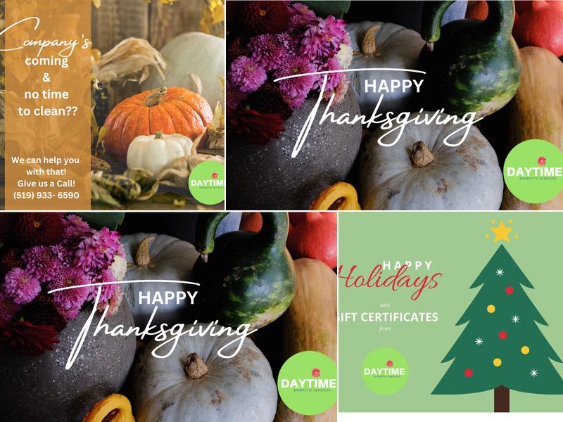 Daytime Domestic Services Ltd