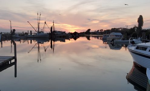 Carolina Plumbing & Repair Inc. 104 Brown St, Marshallberg North Carolina 28553