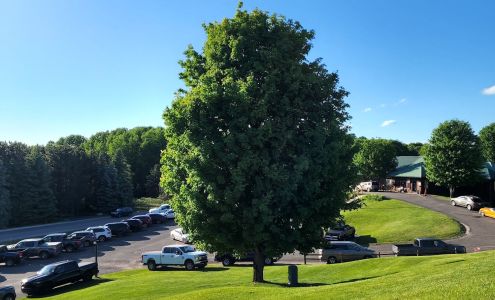 The Chief Golf Course Bellaire