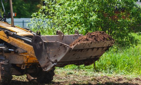 Belleview Tree Services