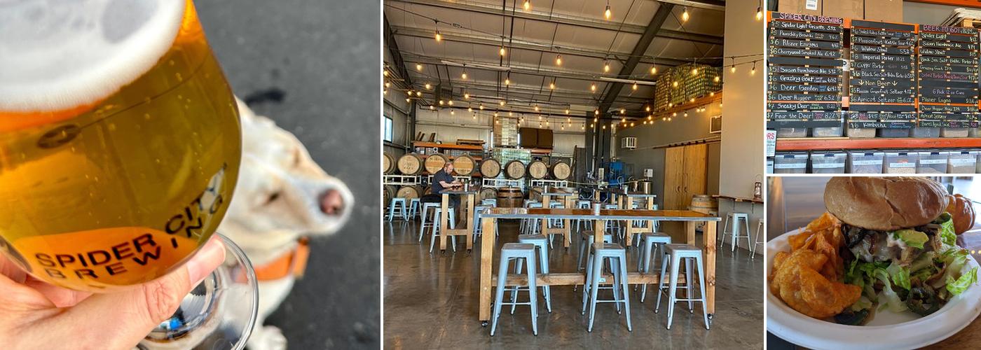 Spider City Brewing Company
