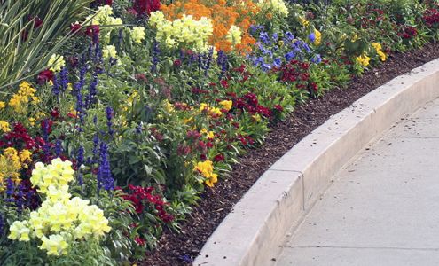 Southern Plant Designs Inc.