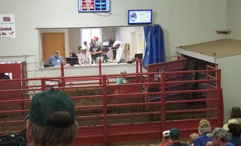 Bloomfield Livestock Market