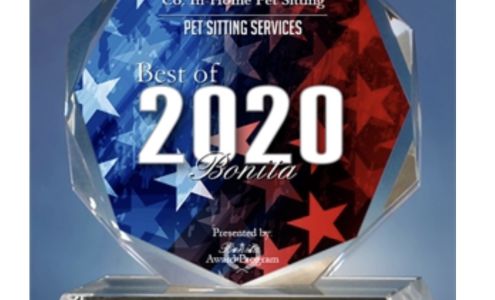 The Purrfect Pet Buddies Co